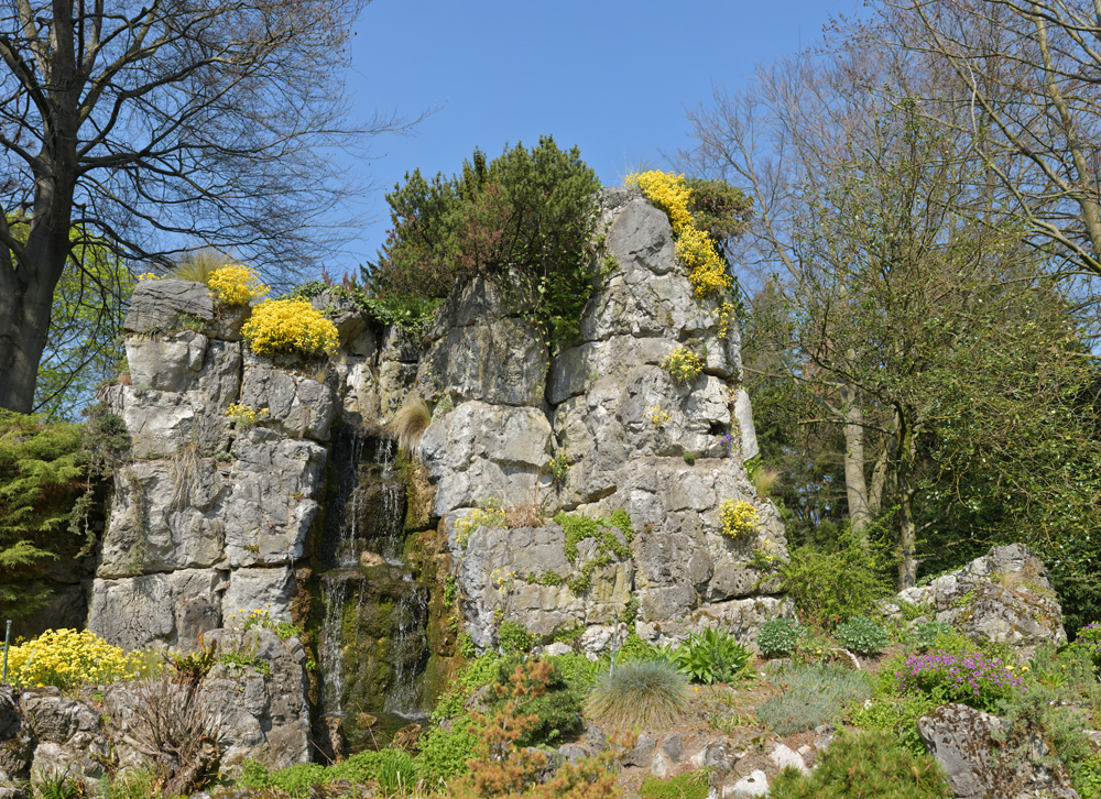 Preview flora teich mit felsen 2.jpg